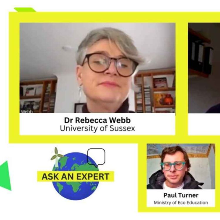 cover art for Ask an Expert - Practical Philosophy 