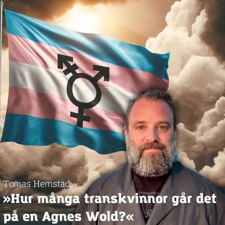 cover art for »Hur många transkvinnor går det på en Agnes Wold?«