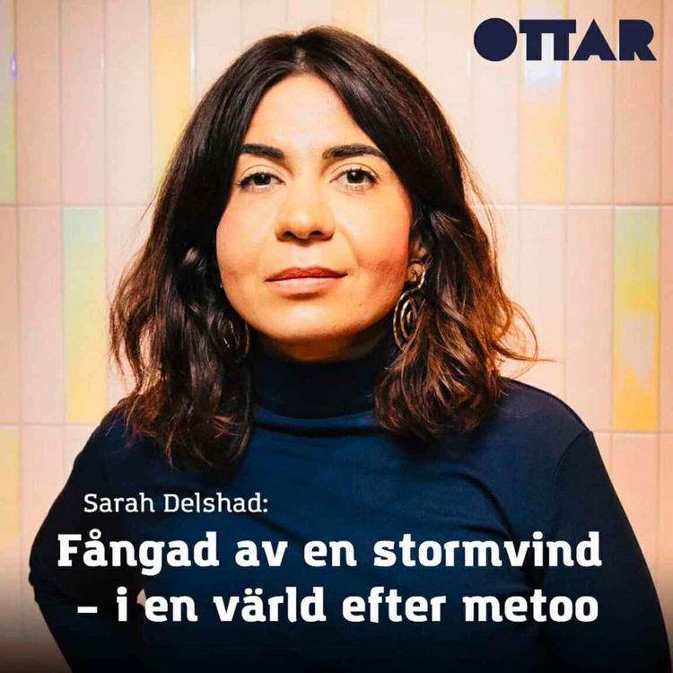cover art for Fångad av en stormvind – i en värld efter metoo
