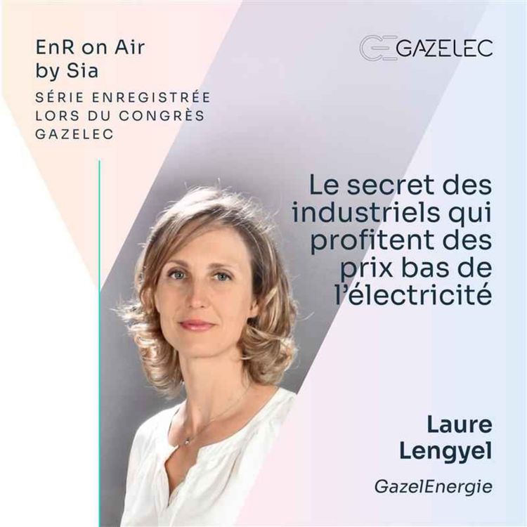 cover art for 3/ Le secret des industriels qui profitent des prix bas de l’électricité