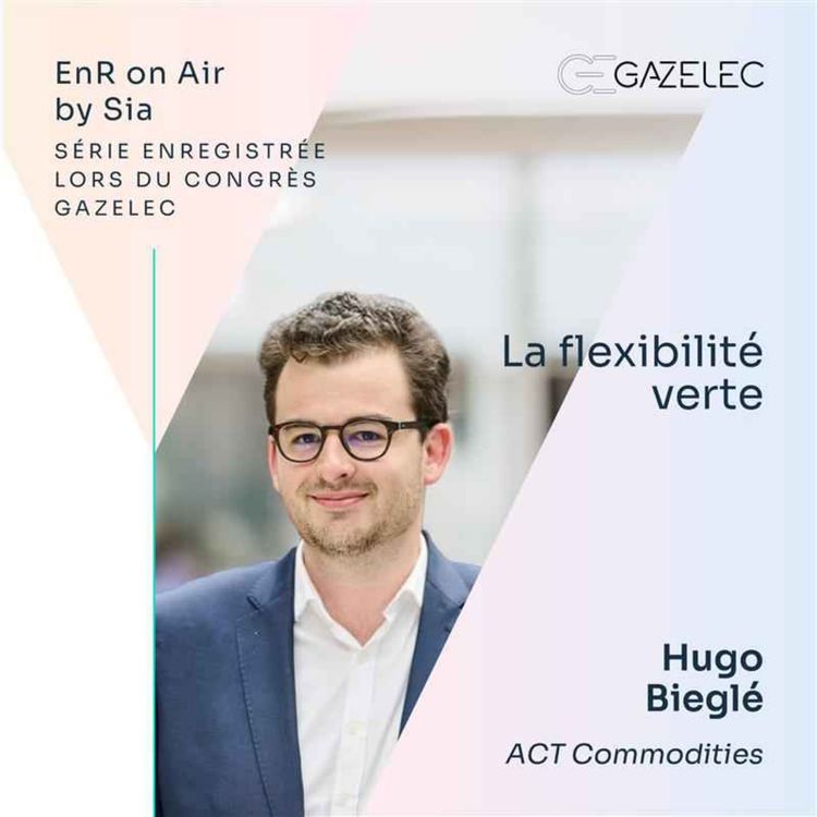 cover art for 6/ La flexibilité verte