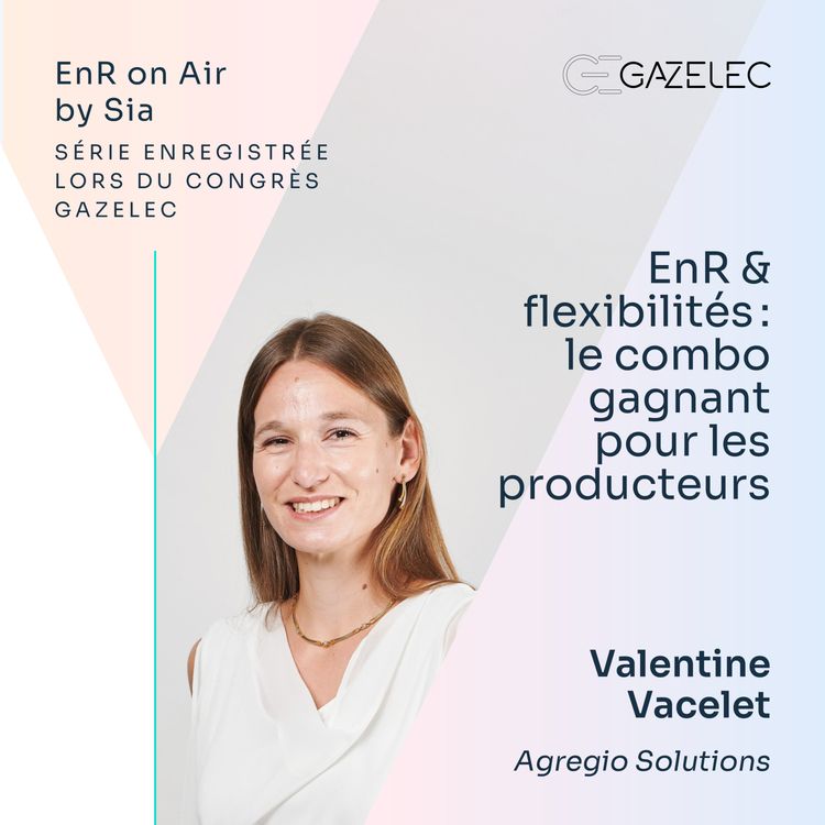cover art for 7/ EnR & flexibilités : le combo gagnant pour les producteurs
