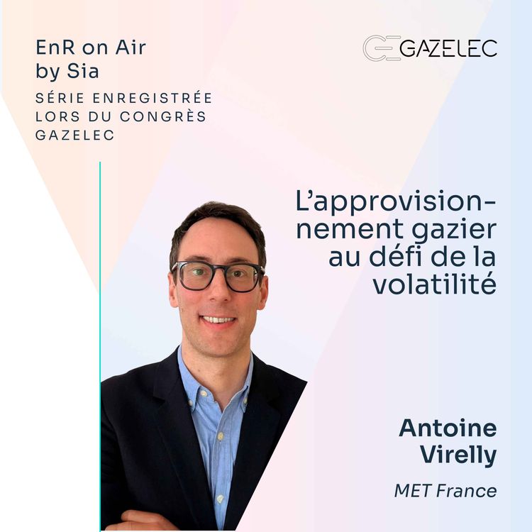 cover art for 13/ L'approvisionnement gazier au défi de la volatilité