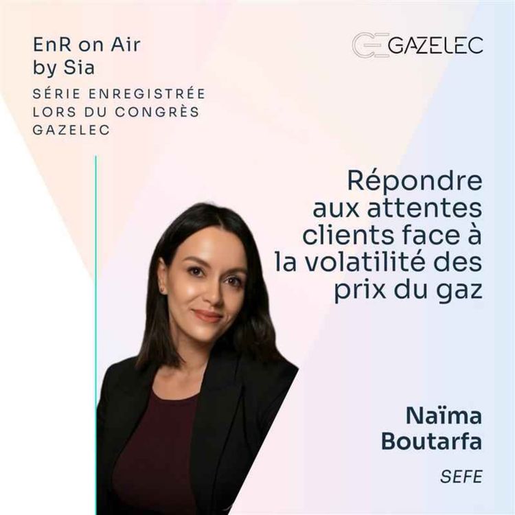 cover art for 14/ Répondre aux attentes clients face à la volatilité des prix du gaz