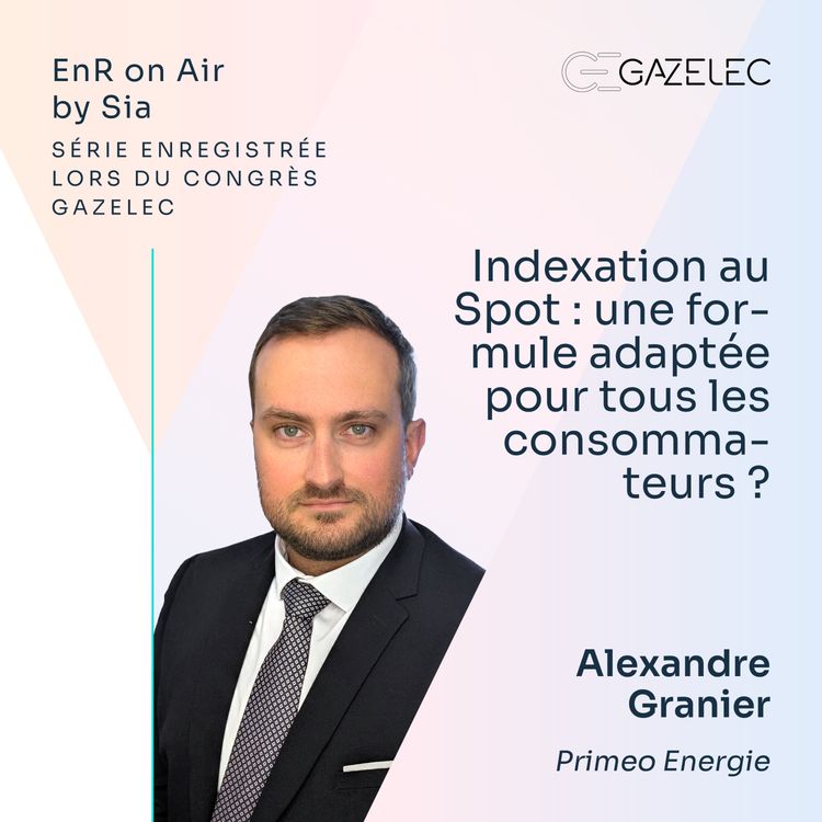 cover art for 16/ Indexation au Spot : une formule adaptée pour tous les consommateurs ?