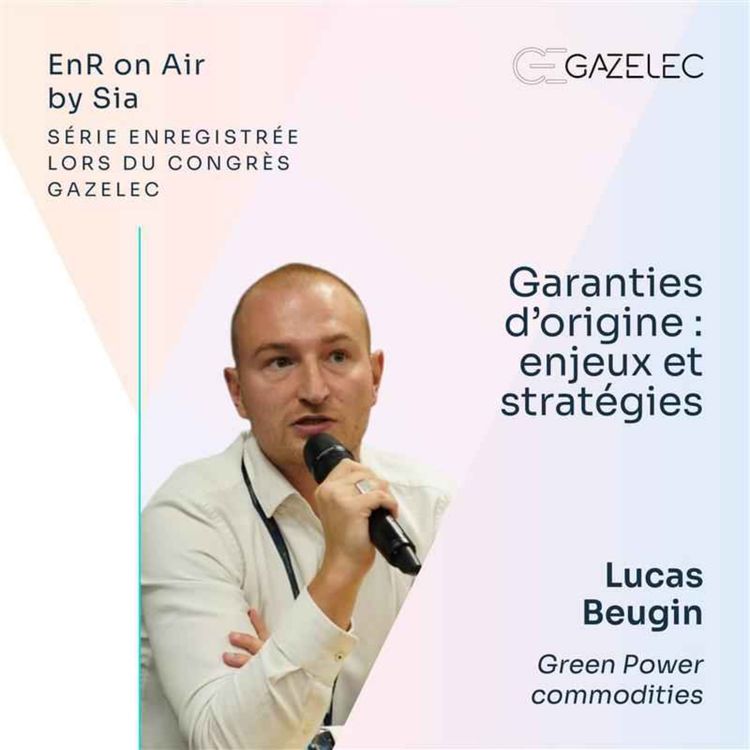 cover art for 19/ Garanties d'origine : enjeux et stratégies