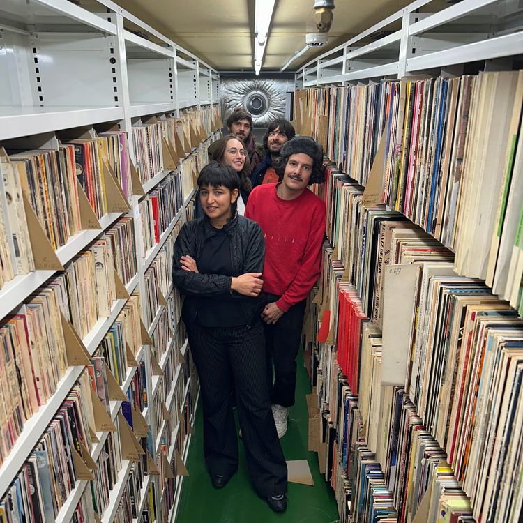 cover art for La sélection de Derya Yıldırım & Grup Şimşek