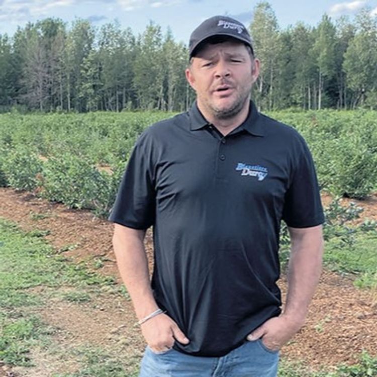 cover art for Chiko show - Bruno Roy | la Bleuetière du Roy a décidé de transformer le week-end de Pâques en un moment de solidarité inoubliable