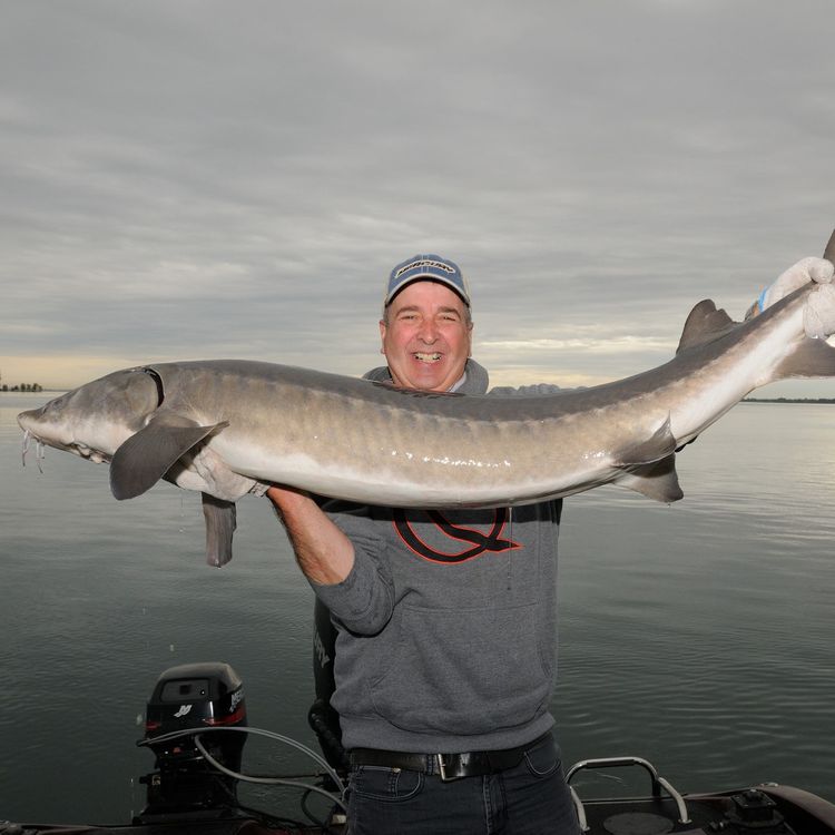 cover art for Chiko Show - Patrick Campeau | Pêche et chasse : Le Salon Latulipe 2026 frappe un grand coup !