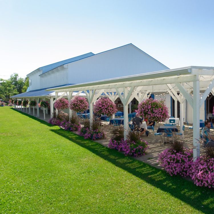 cover art for Chiko Show - Louise Allaire | Cet été au Théâtre Beaumont-St-Michel