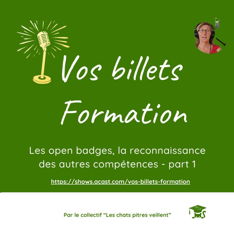 cover art for Les open badges, la reconnaissances des autres compétences_1