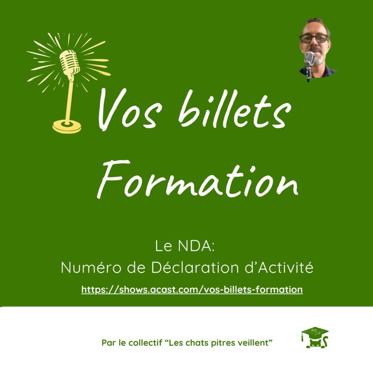 cover art for Les méandres du NDA: Numéro de déclaration d'activité - 