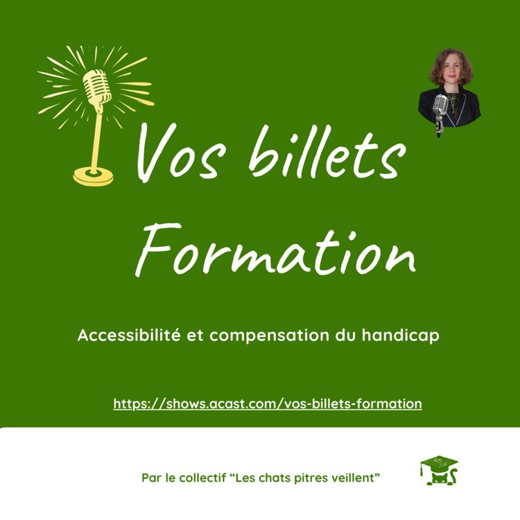 cover art for Accessibilité et compensation du handicap