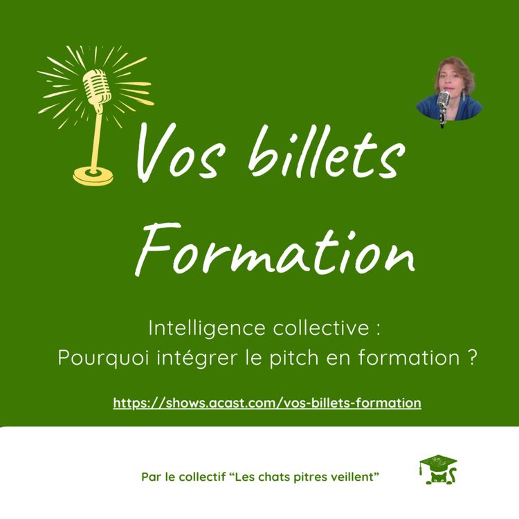 cover art for Intelligence collective : pourquoi integrer le pitch en formation ?