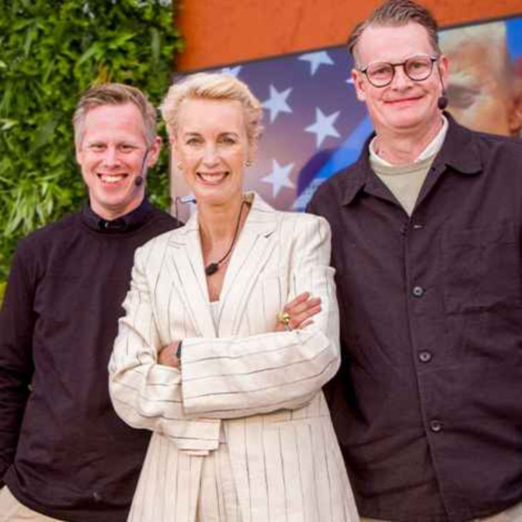 cover art for Almedalen special