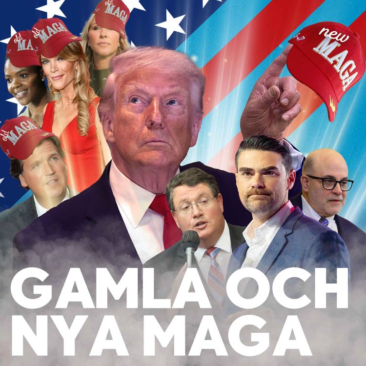 cover art for  Gamla och nya Maga