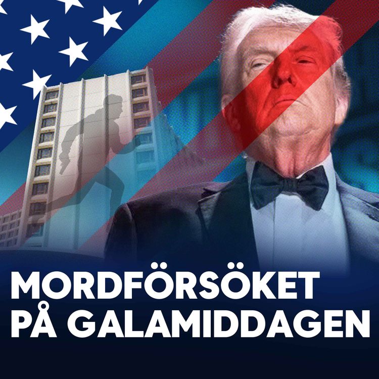 cover art for Mordförsöket under galamiddagen