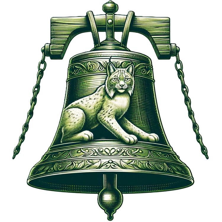 cover art for Les Ensorceleurs