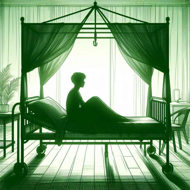 cover art for L’aveu de Mademoiselle Barrow