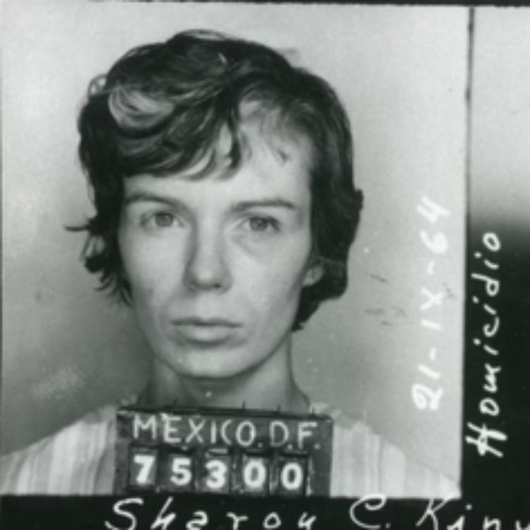 cover art for The Wild Story of Sharon Kinne Part 2