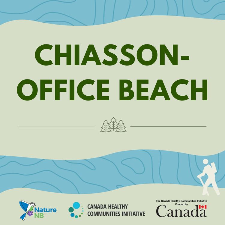 cover art for 8 | Black-browed Albatross