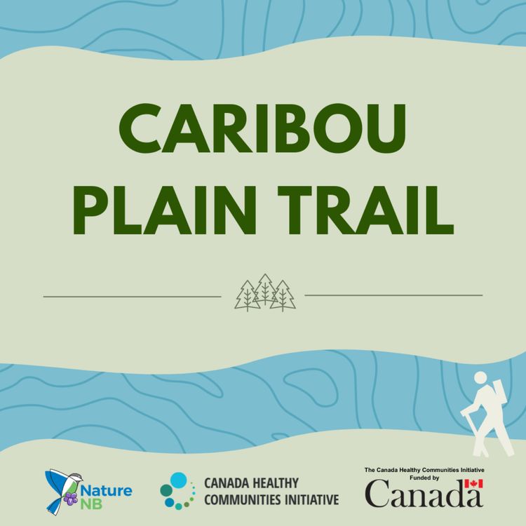 cover art for Caribou Plain Trail