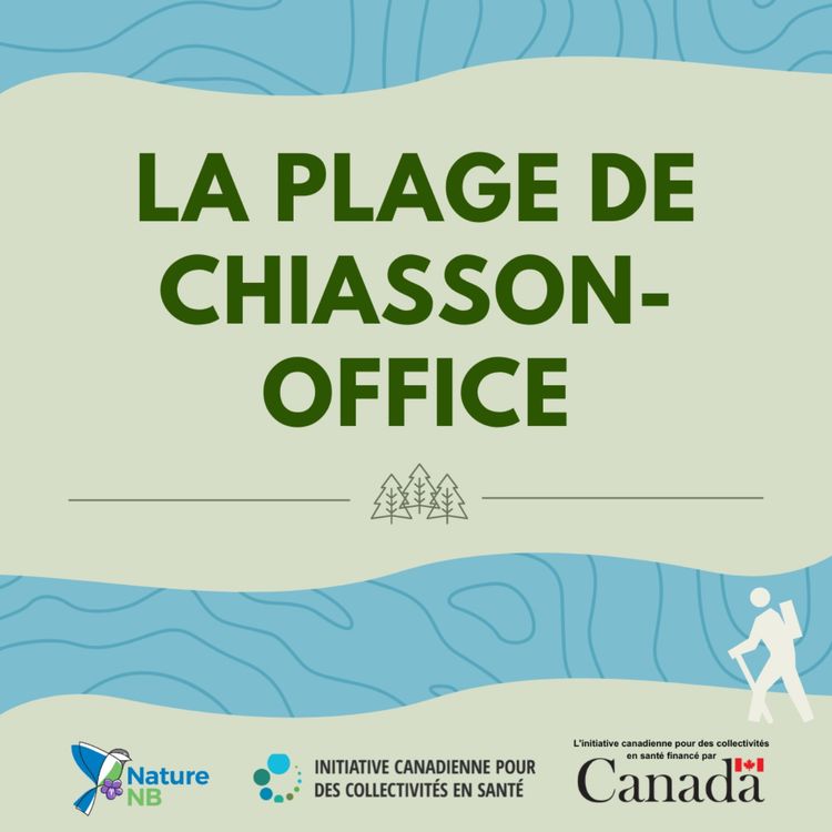 cover art for 11 | Merci de votre visite à Chiasson-Office !