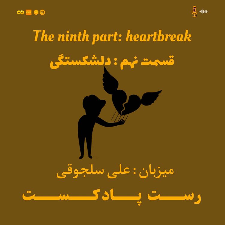 cover art for 9.دلشکستگی
