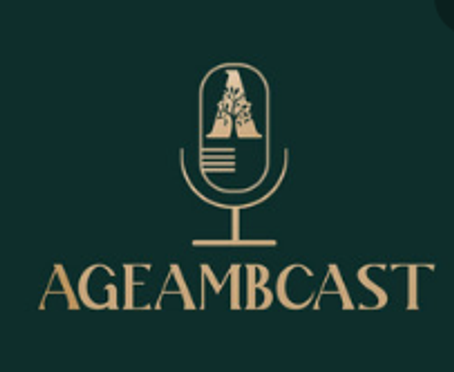 cover art for Engenheiros em Destaque: O papel do SENGE em Goiás