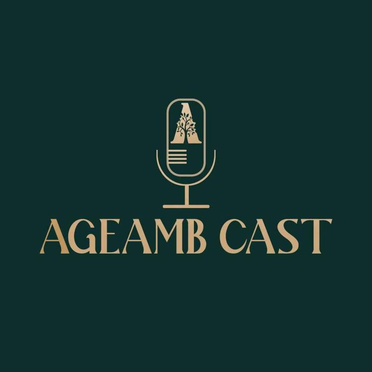 cover art for A jornada de planejamento estratégico da AGEAMB.