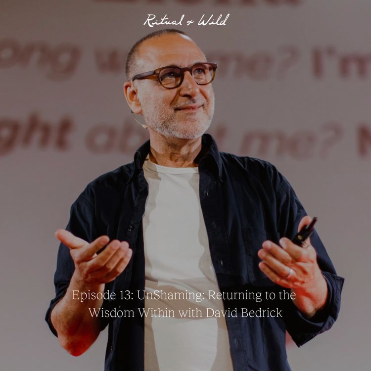 cover art for UnShaming: Returning to the Wisdom Within with David Bedrick