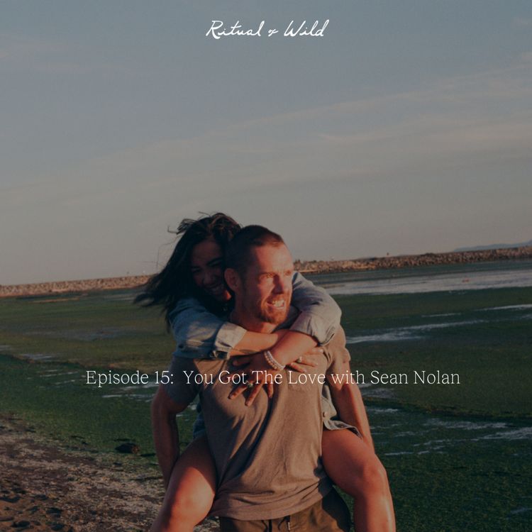 cover art for You Got The Love with Sean Nolan