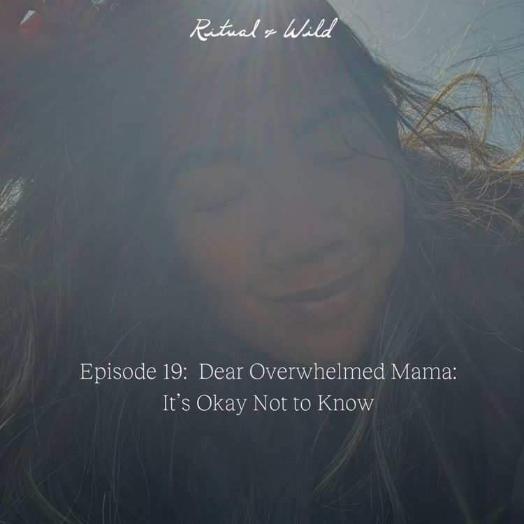 cover art for Dear Overwhelmed Mama: It’s Okay Not to Know with Jenny Jimeno