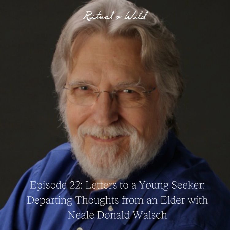 cover art for Letters to a Young Seeker: Departing Thoughts from an Elder with Neale Donald Walsch