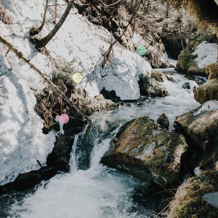 cover art for アラスカ州ウィッティアの氷河地帯を流れる山の小川