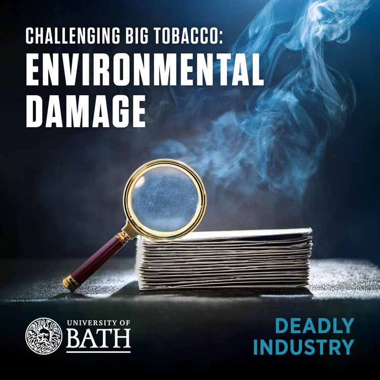 cover art for Environmental damage