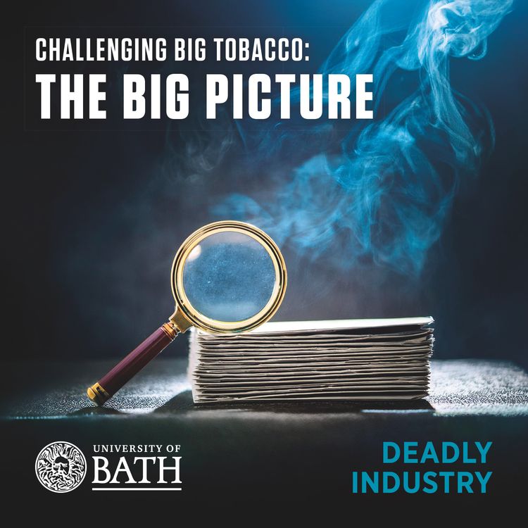 cover art for The Big Picture