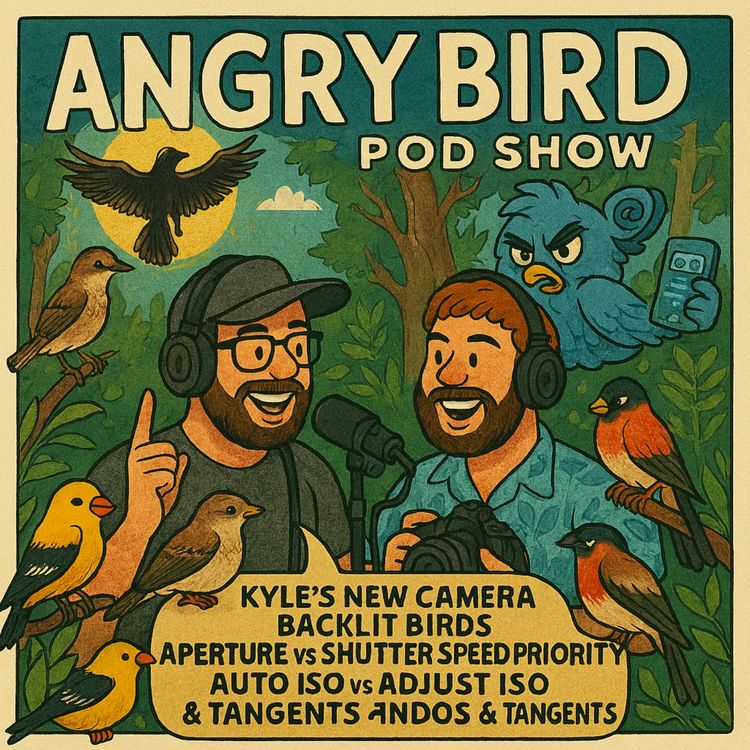 cover art for The Moist of Gulls