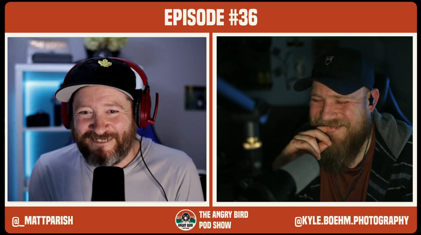 cover art for Swantanamo Bay