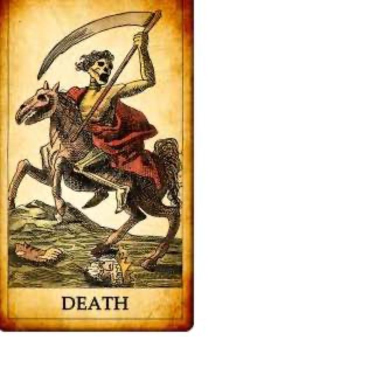 cover art for August13