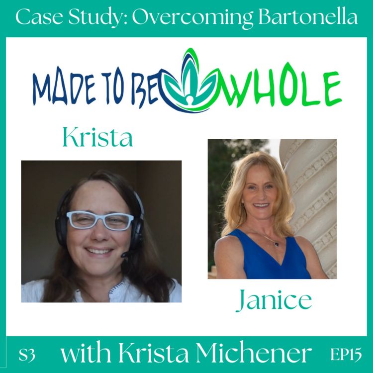 cover art for Overcoming Bartonella: Case Study