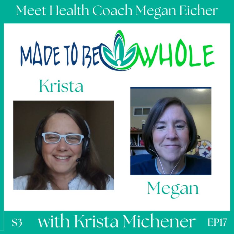 cover art for Meet Health Coach Megan Eicher