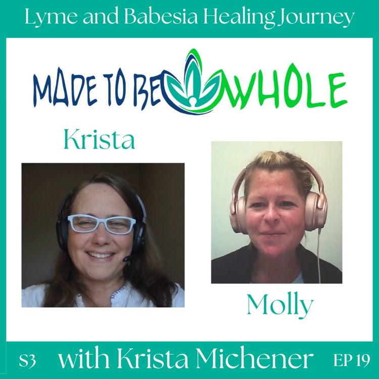 cover art for Lyme and Babesia Healing Journey: From Patient to Health Coach