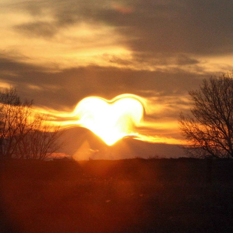 cover art for You Are Loved: