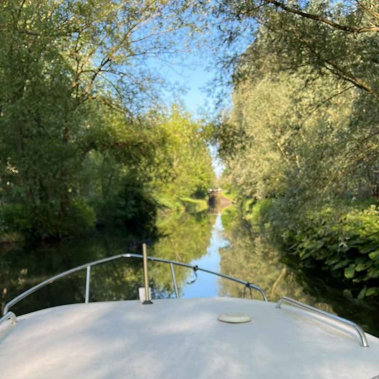 cover art for Windsor