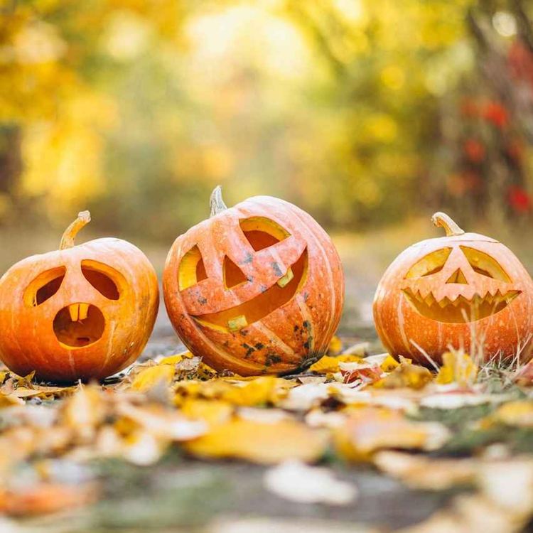 cover art for 6. 孩子们，过万圣节喽 | Halloween With Kids