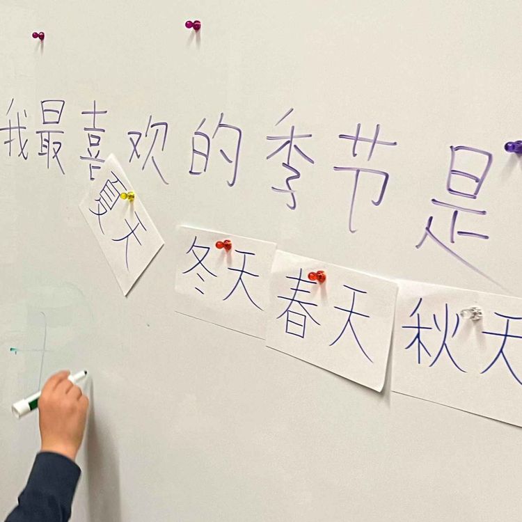 cover art for 38. 在学校学中文 | How Schools Teach Chinese