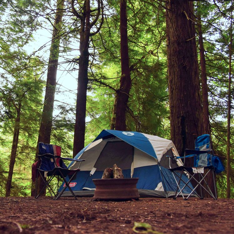 cover art for 54. 带孩子去露营 | Camping with Kids