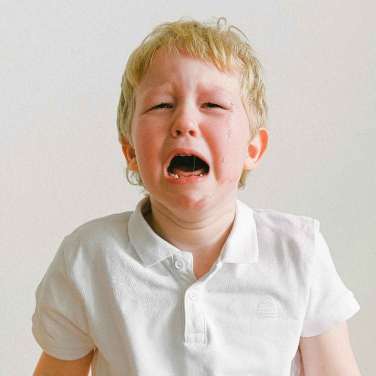 cover art for 64. 两岁叛逆期 | Terrible Twos