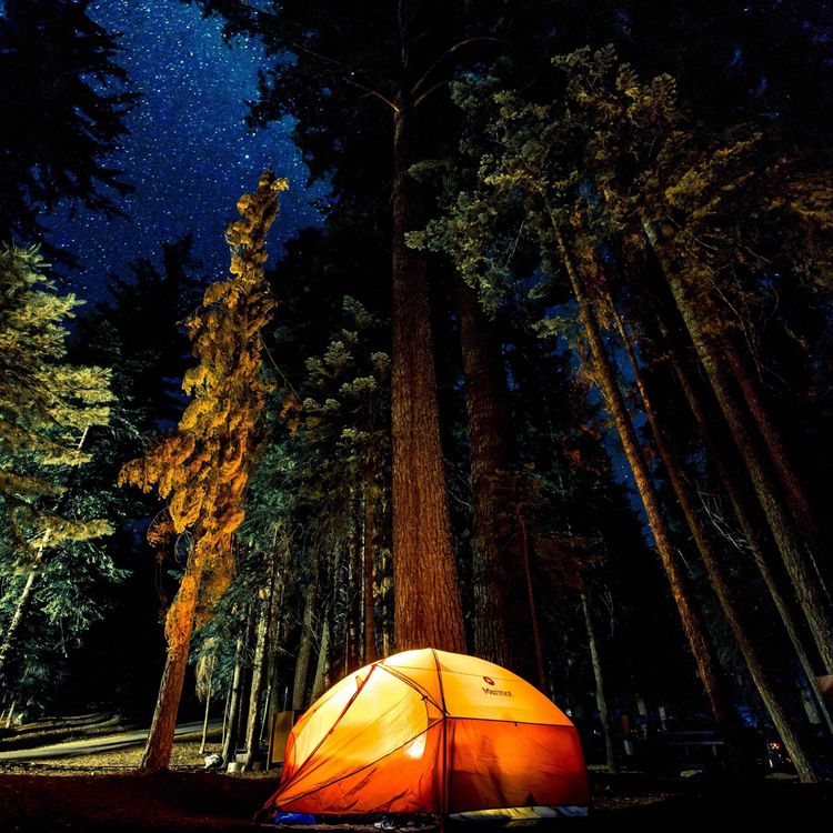 cover art for 93. 准备去露营 | Camping Readiness